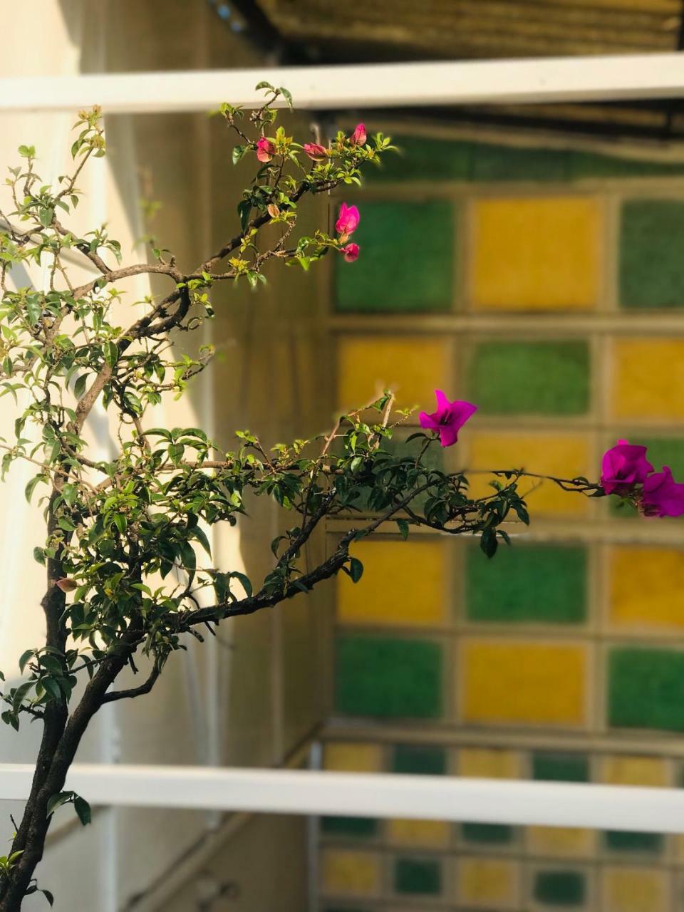 Privatunterkunft Casa Boutique Genova Mexiko-Stadt
